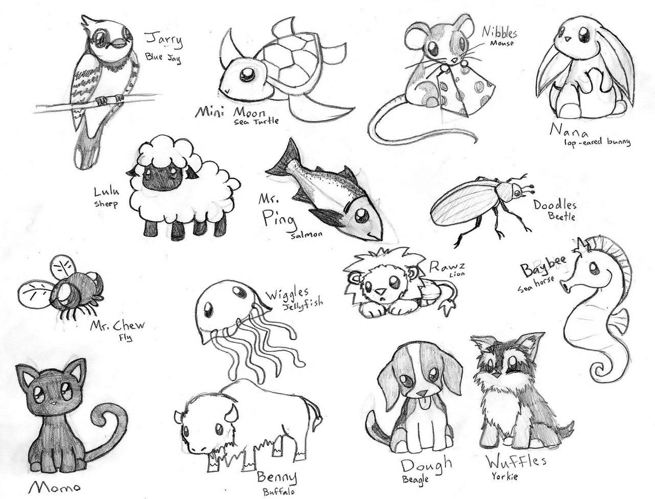 Animals Drawing