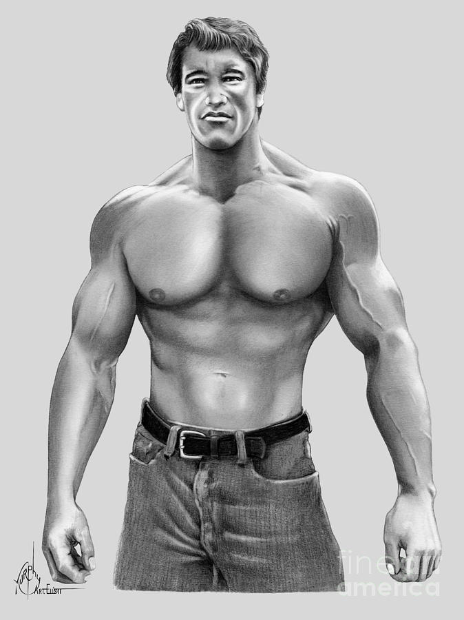 Arnold Schwarzenegger Body Drawing Image
