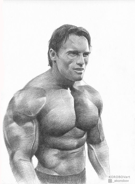 Arnold Schwarzenegger Body Drawing Photo