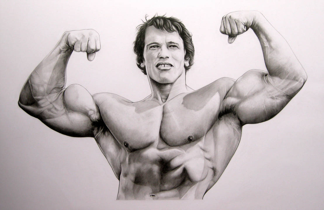 Arnold Schwarzenegger Body Drawing Pics