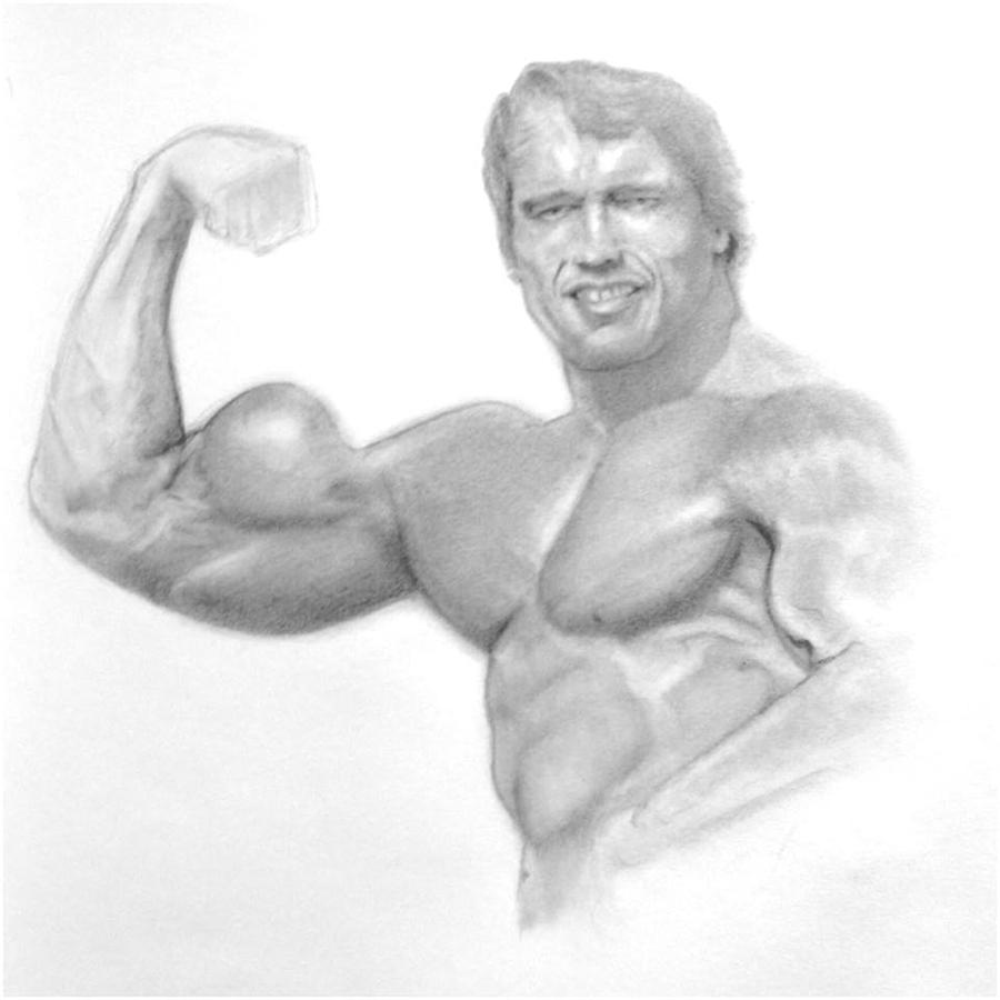 Arnold Schwarzenegger Drawing Beautiful Image