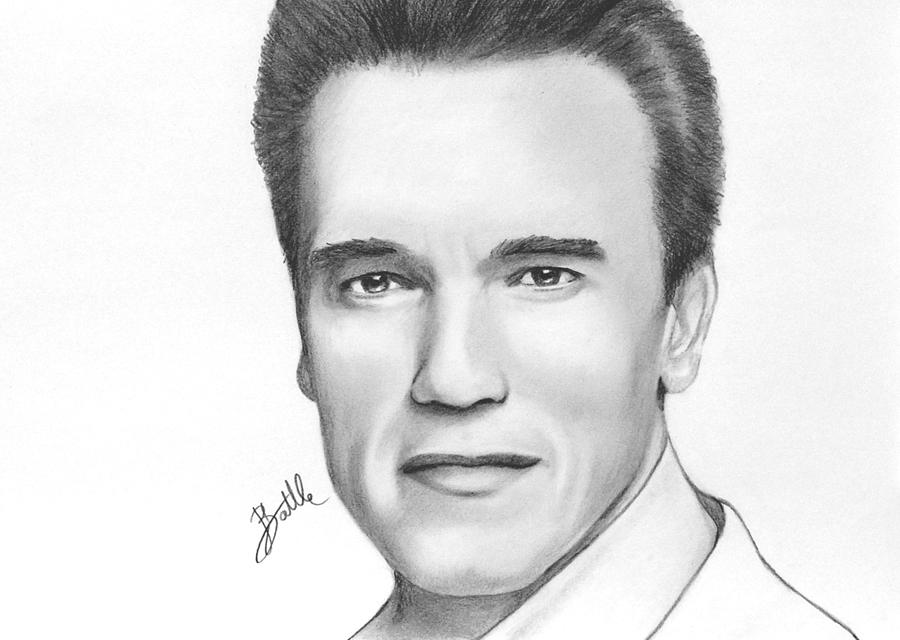 Arnold Schwarzenegger Drawing Best