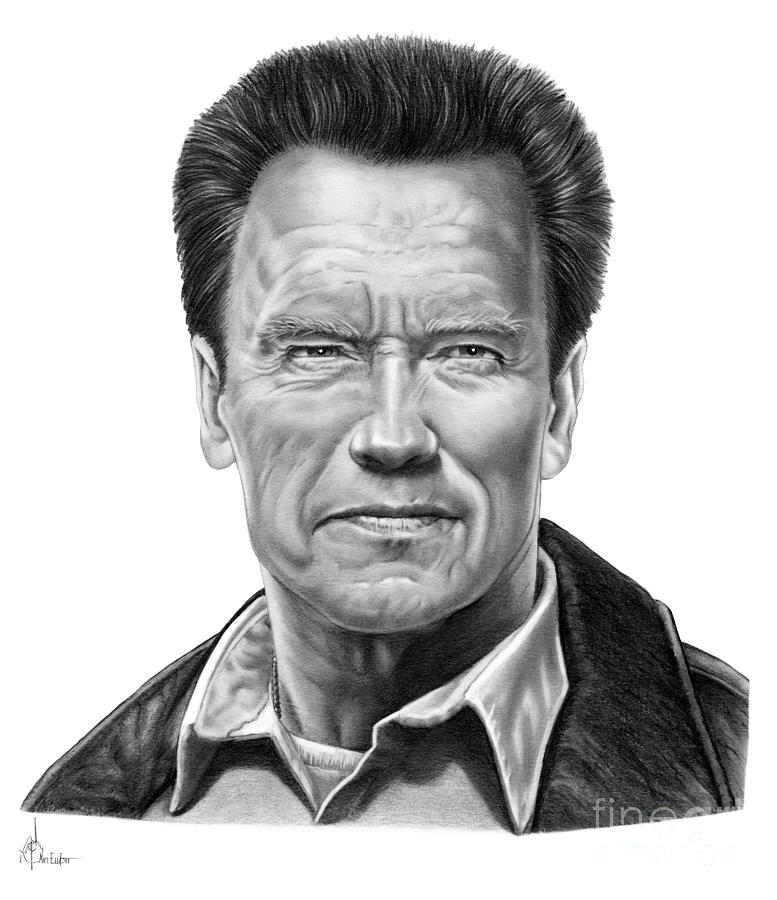 Arnold Schwarzenegger Drawing Sketch