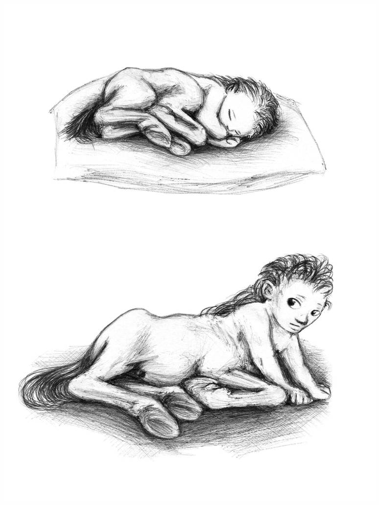 Baby Centaur Drawing Art