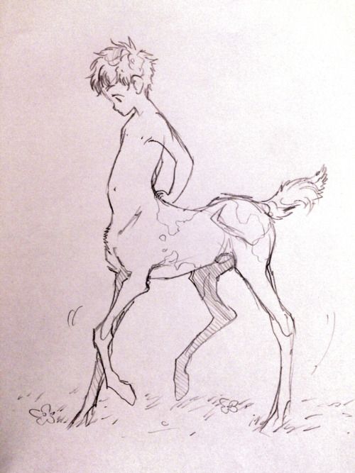 Baby Centaur Drawing Image