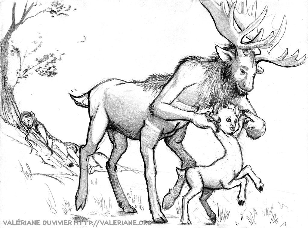 Baby Centaur Drawing Photo