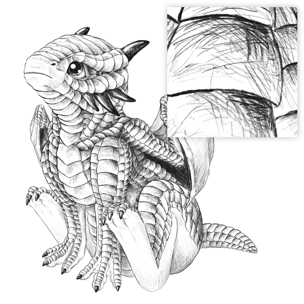 Baby Dragon Drawing Images