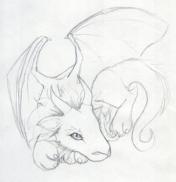 Baby Dragon Drawing Photo