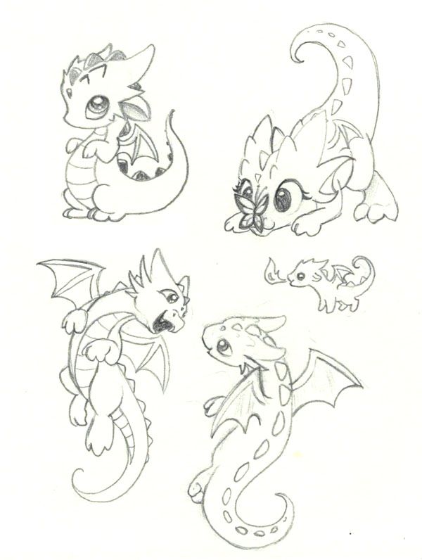 Baby Dragon Drawing