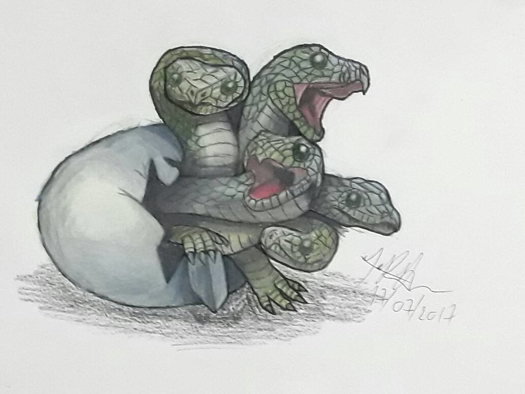 Baby Hydra Drawing Image