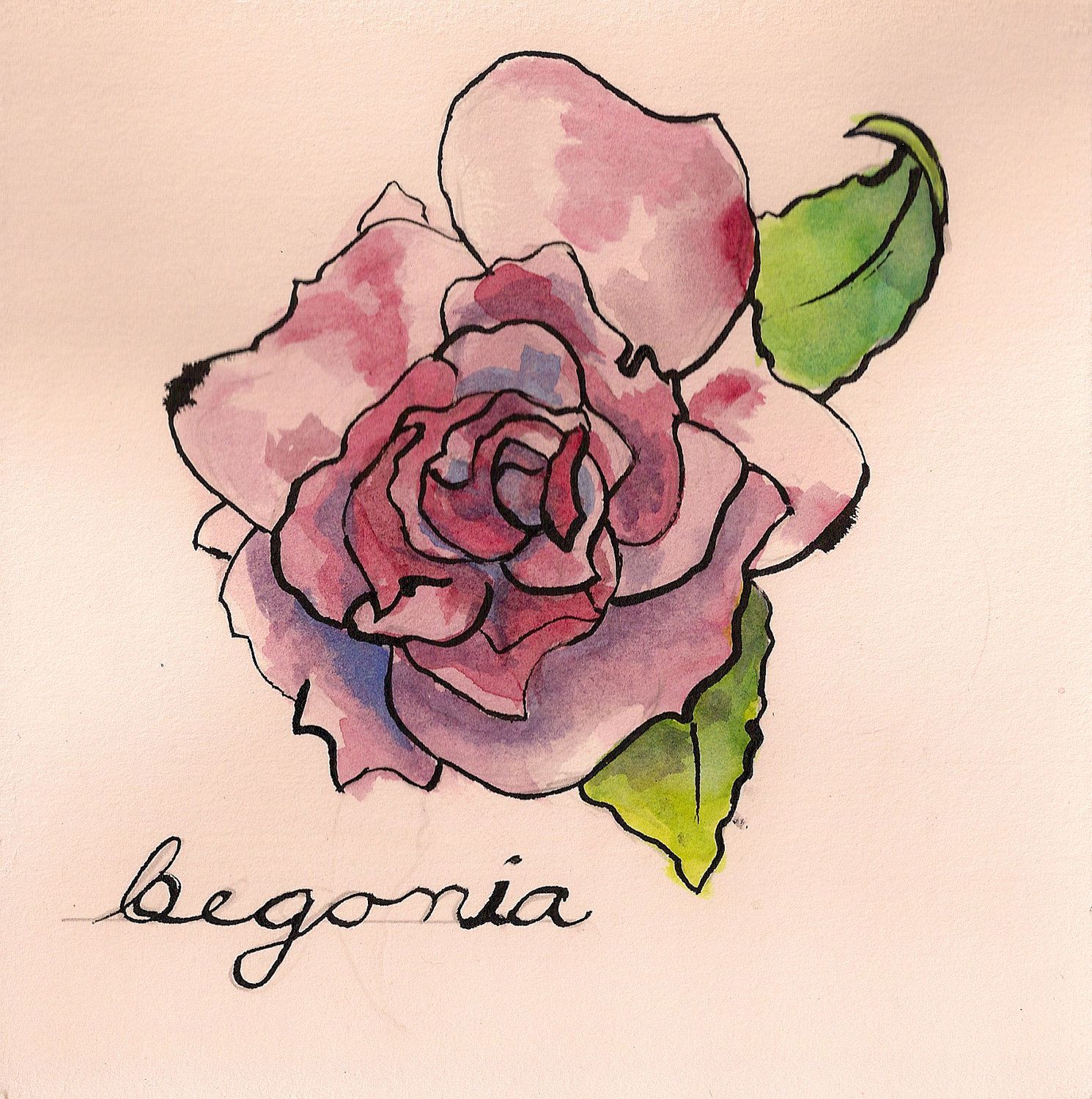 Begonia Drawing Art