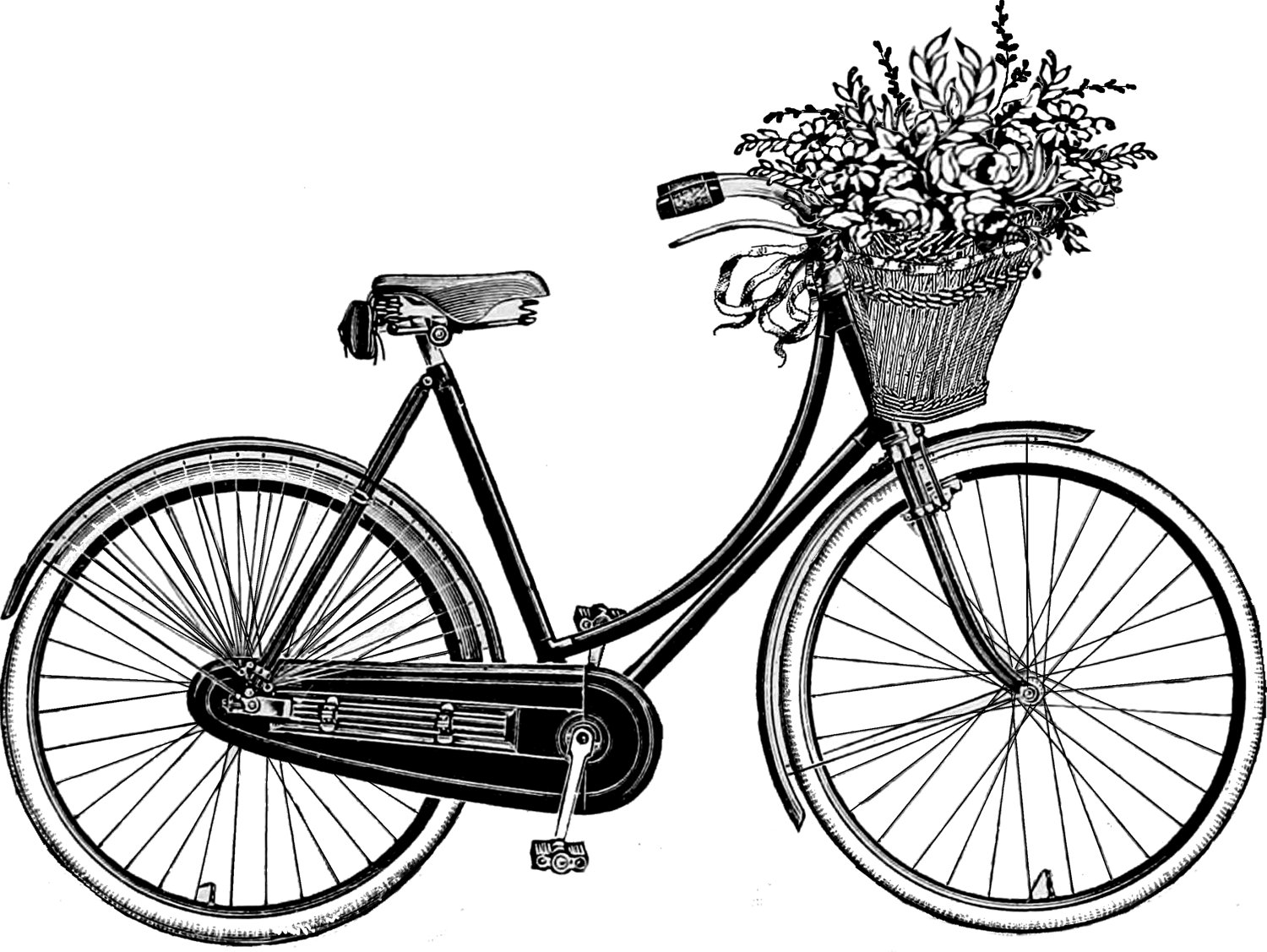 Bicycle Drawing Best