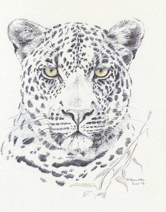 Black Leopard Drawing Best