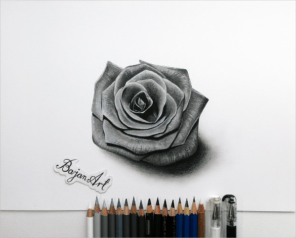 Black Rose Drawing Beautiful Image