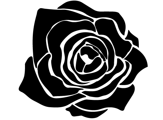 Black Rose Drawing Pics