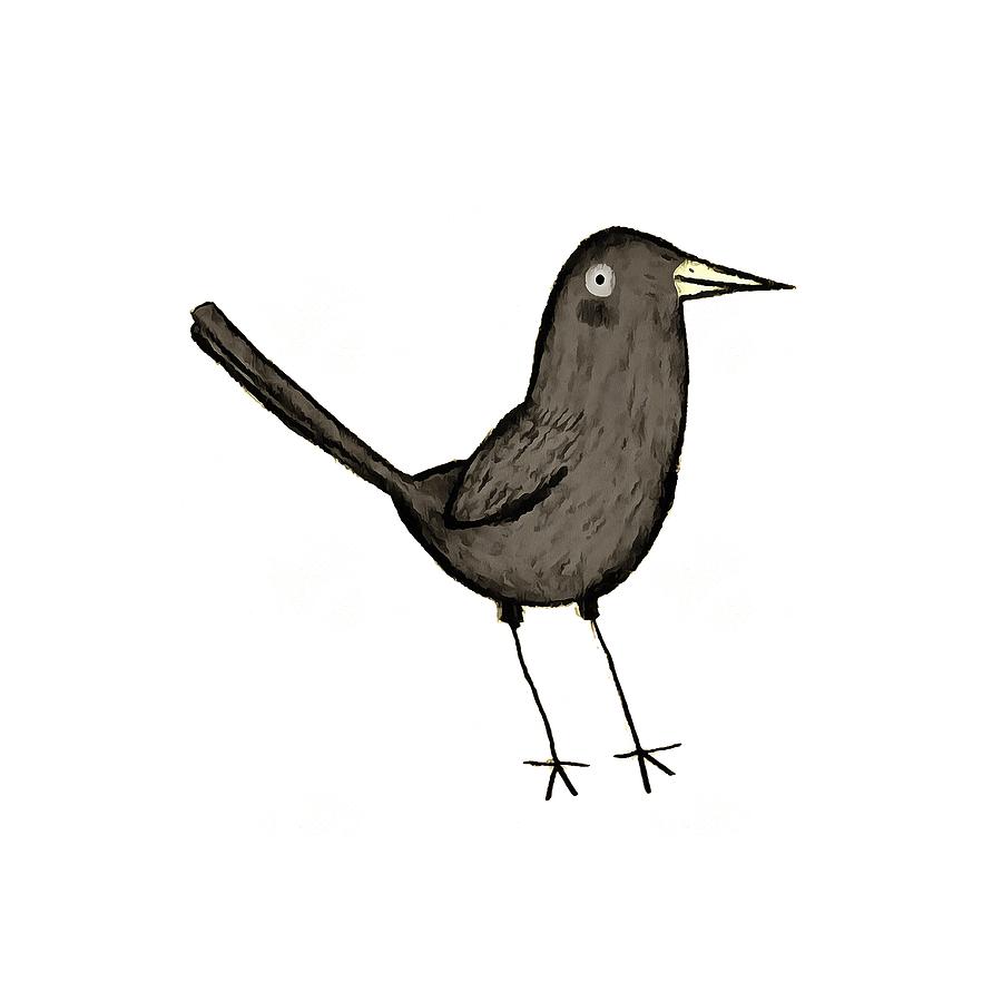 Blackbird Drawing Sketch