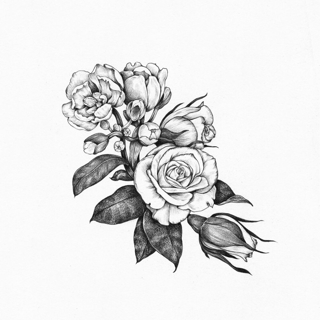 Bouquet Drawing Photo