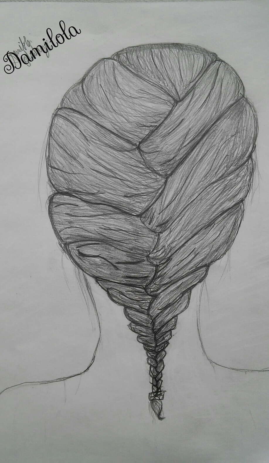 Braid Drawing Pictures