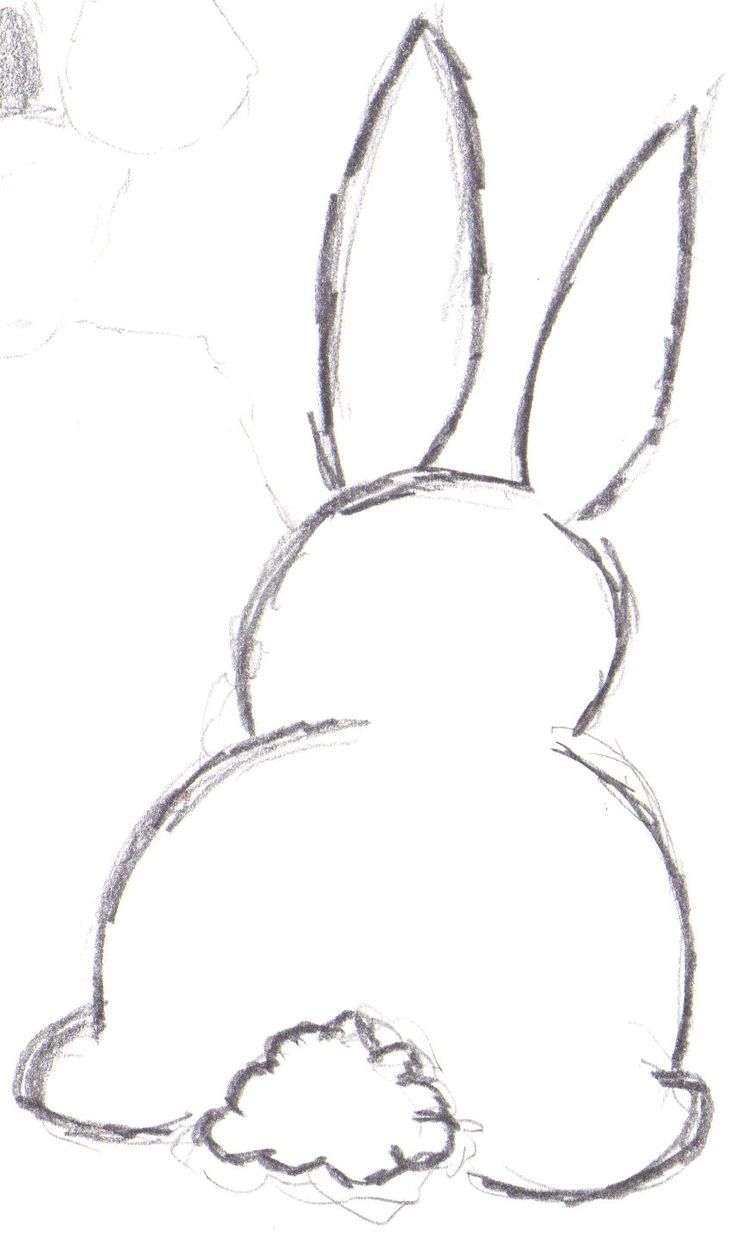 Bunny Drawing High-Quality