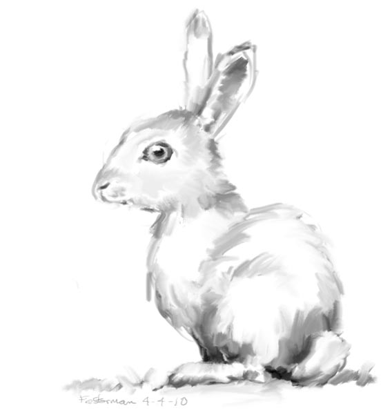 Bunny Drawing Photos