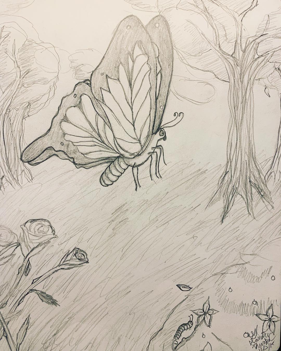 Butterfly Drawing Art