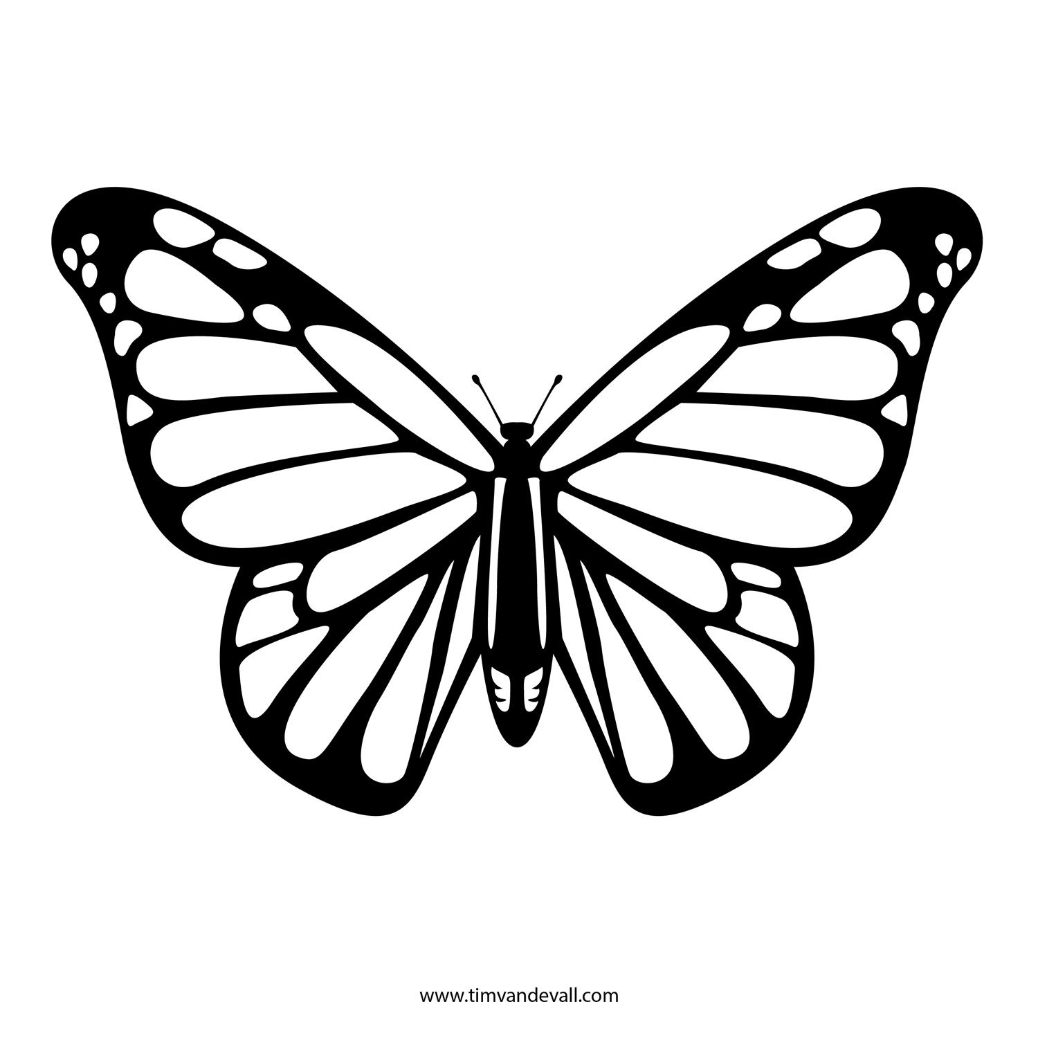 Butterfly Drawing Beautiful Art