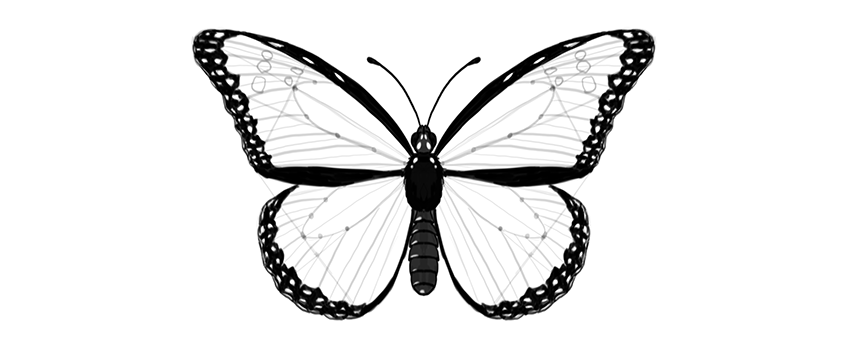 Butterfly Drawing Pictures