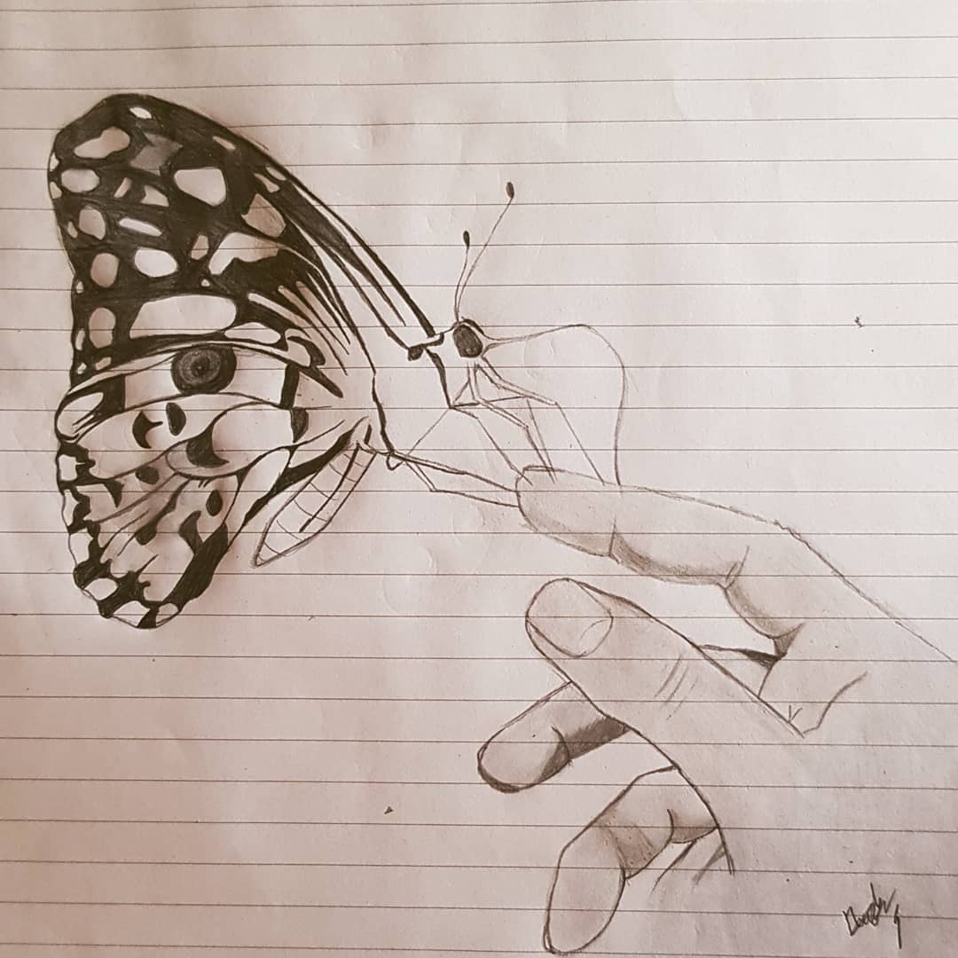 Butterfly Drawing Sketch