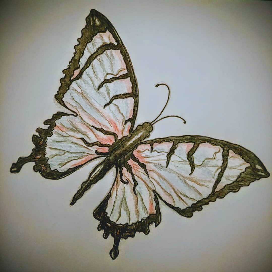 Butterfly Drawing