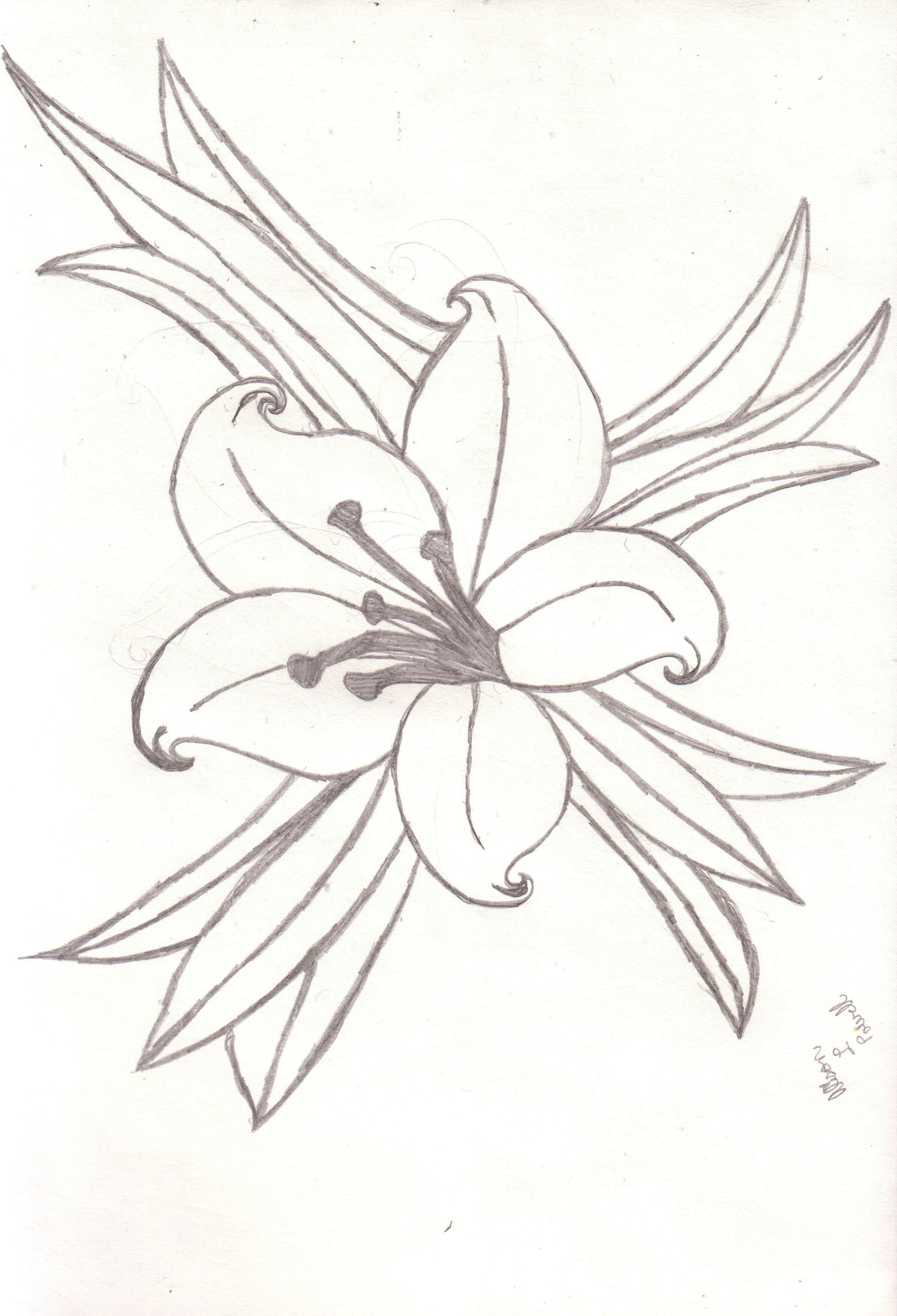 Calla Lily Drawing Beautiful Image