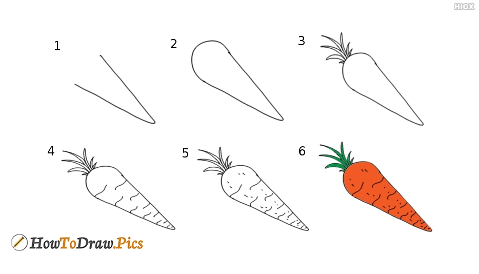 Carrot Drawing Image