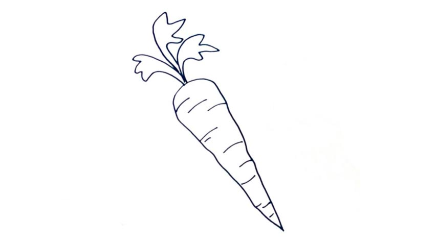 Carrot Drawing Pic