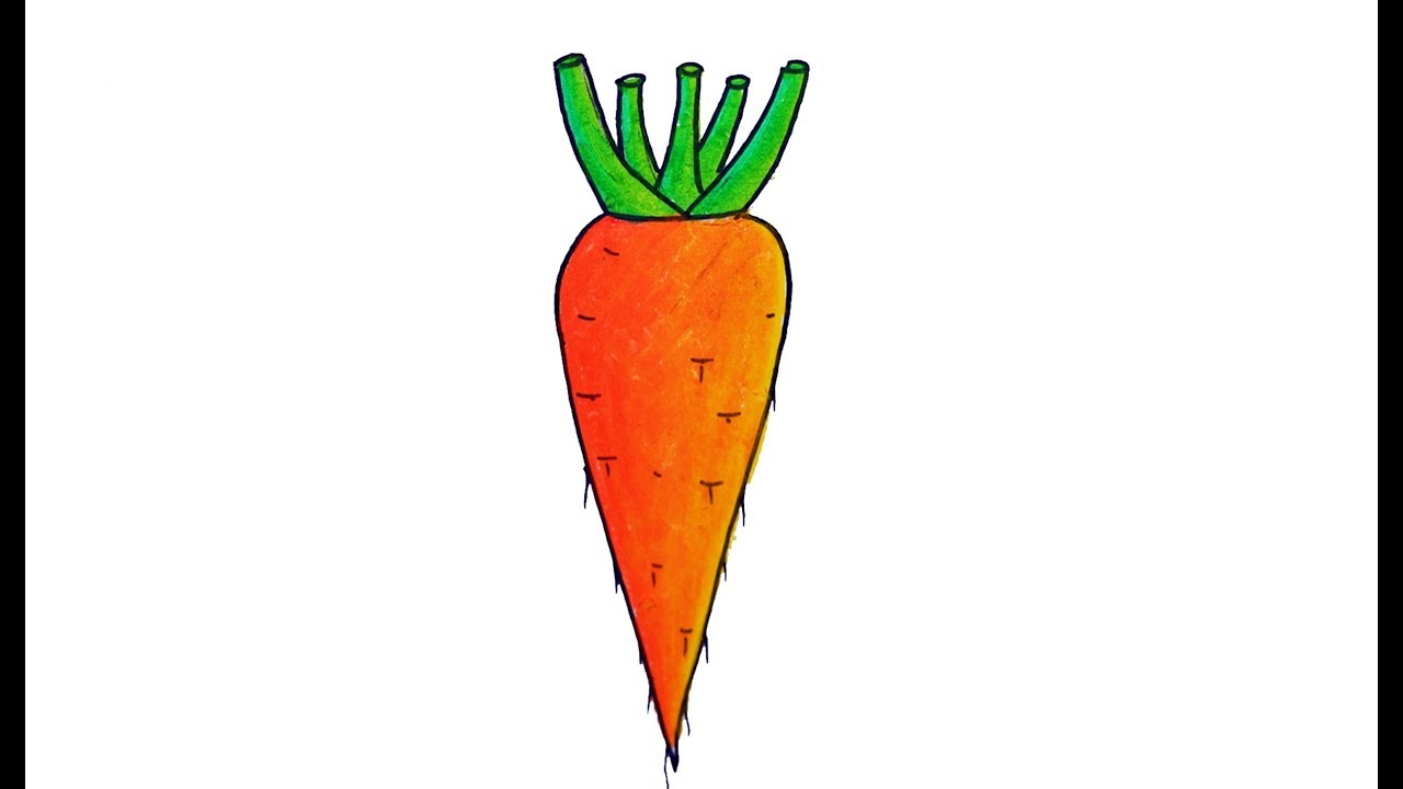 Carrot Drawing Picture