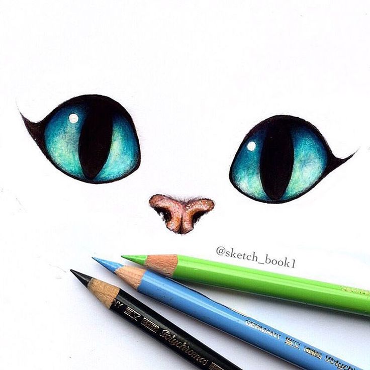 Cat Eyes Art Drawing