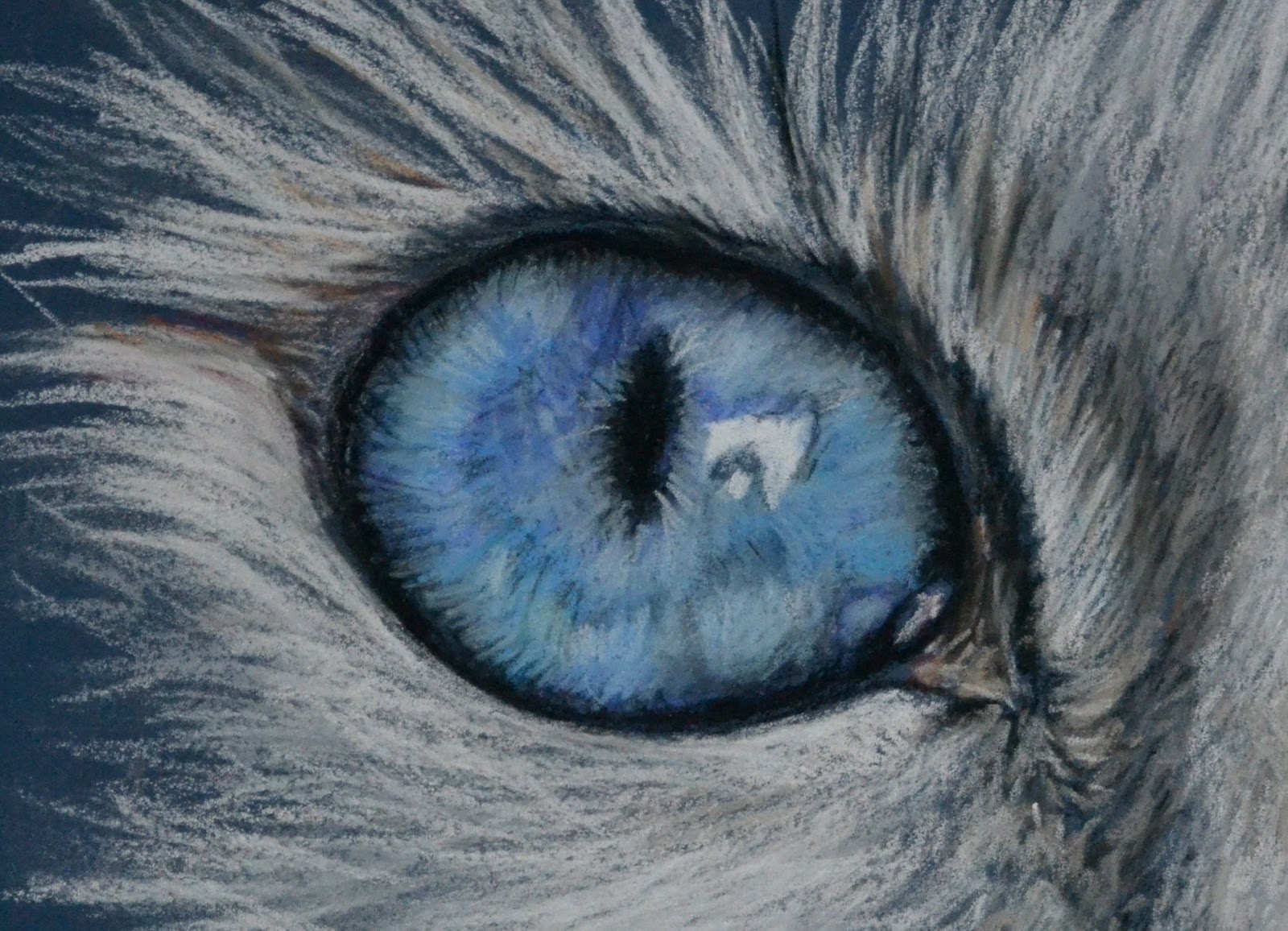 Cat Eyes Drawing Amazing