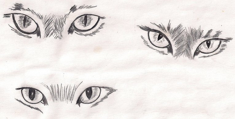 Cat Eyes Drawing Image