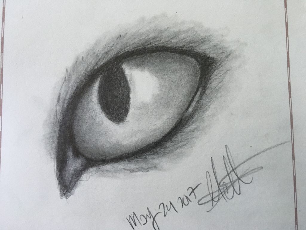 Cat Eyes Drawing Photos