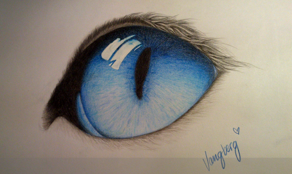 Cat Eyes Drawing Pic