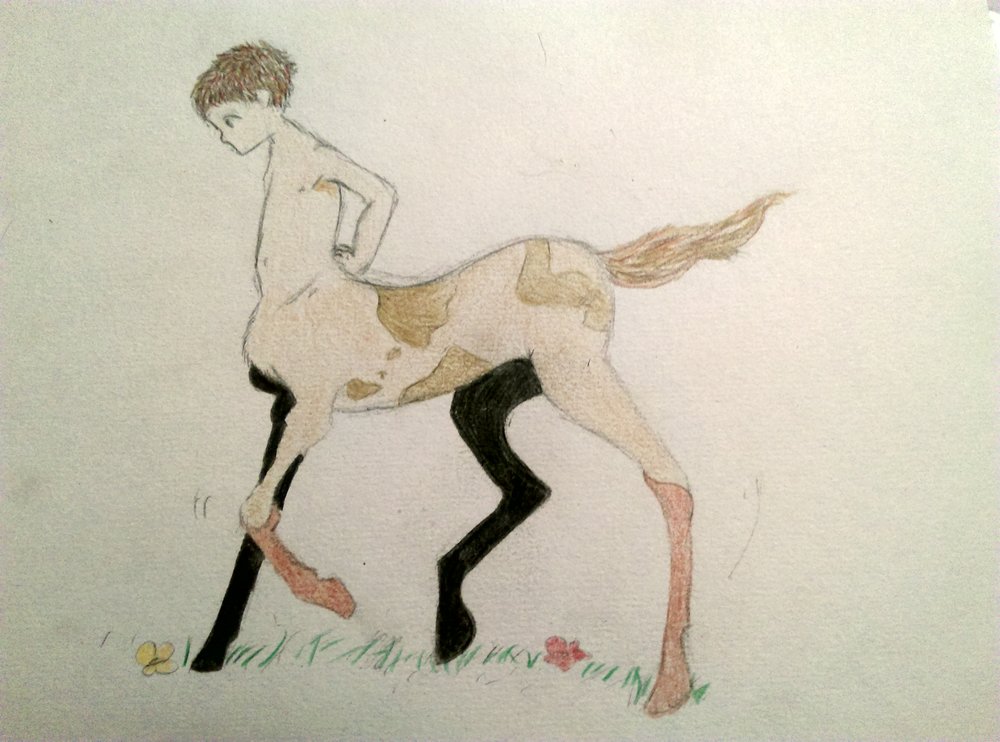 Centaurs Drawing Image