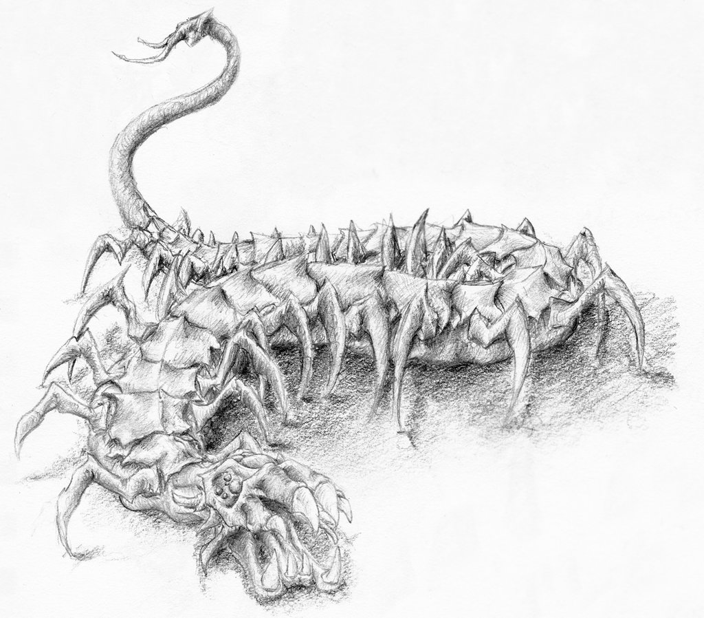 Centipede Drawing Realistic