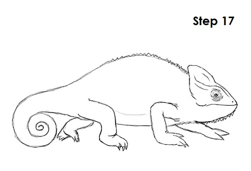 Chameleon Art Drawing