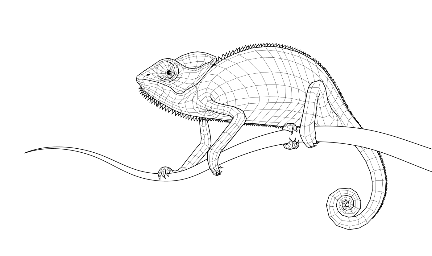 Chameleon Drawing Best