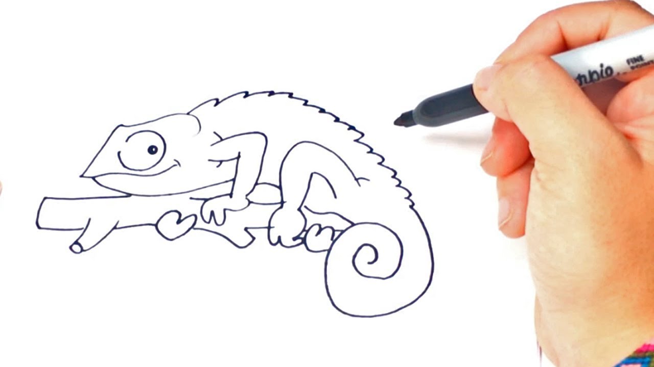 Chameleon Drawing Creative Art