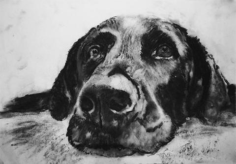 Charcoal Art Drawing