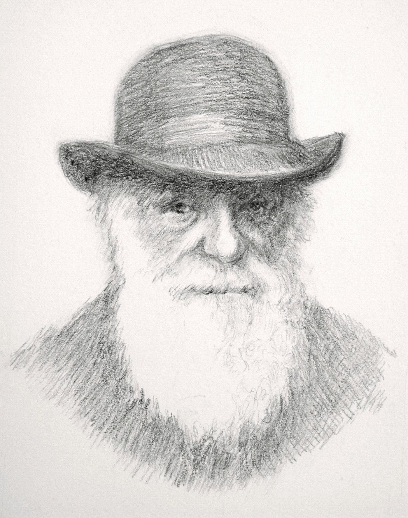 Charles Darwin Drawing Photo