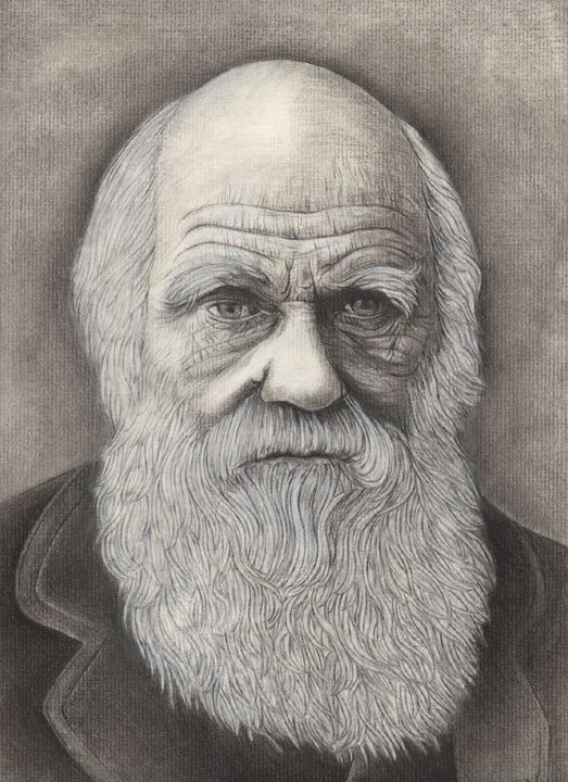 Charles Darwin Drawing Pics