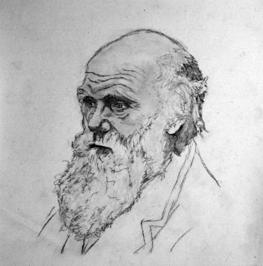 Charles Darwin Drawing Picture