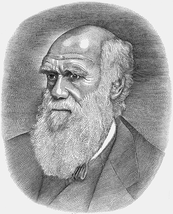 Charles Darwin Drawing Realistic
