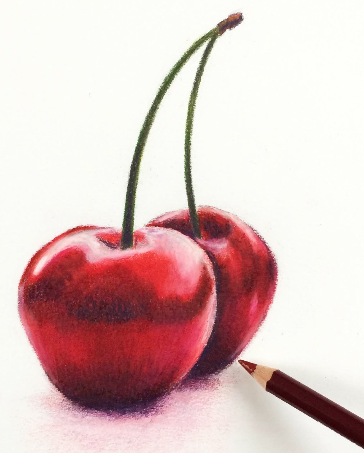 Cherry Drawing Art