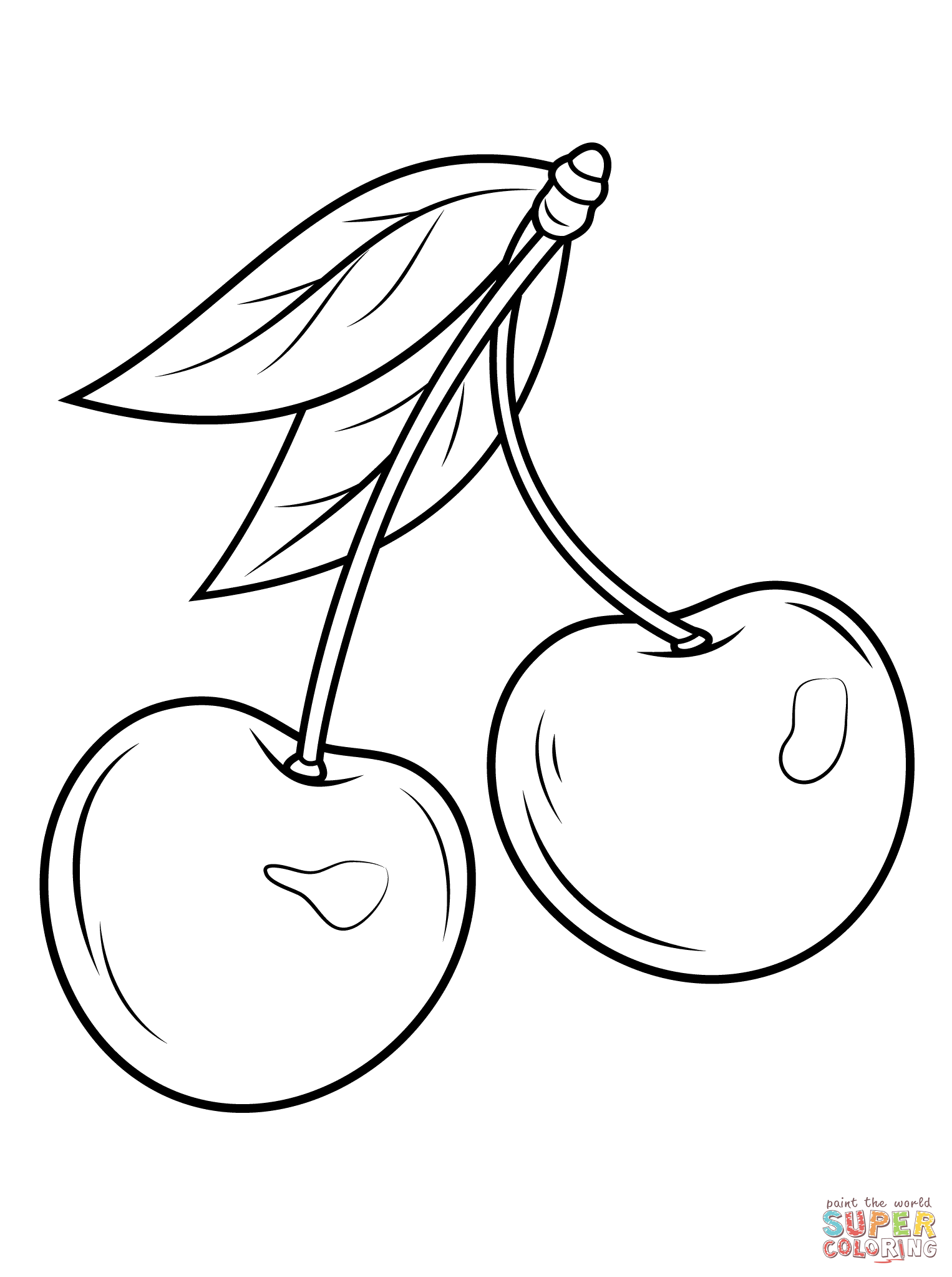 Cherry Drawing Image